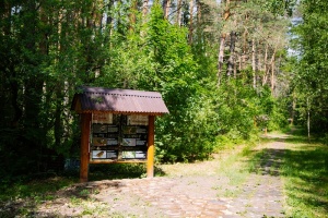 5_Мордовский заповедник_На экологической тропе_Николай Лушкин.jpg 5_Мордовский заповедник_На экологической тропе_Николай Лушкин.jpg